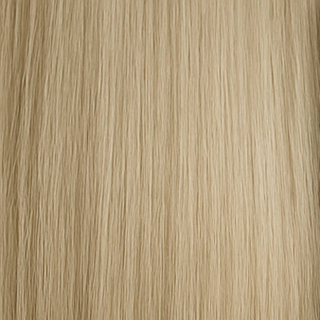 Clip & Go Premium - 10AS Titanium Blonde